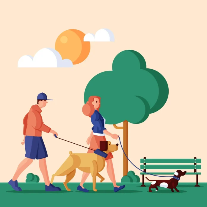 How to Keep Your Dog Healthy and Safe at Your Inside Dog Park